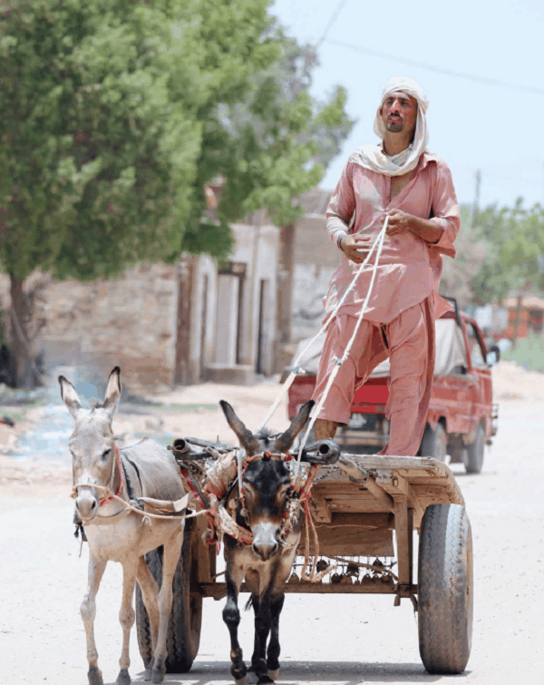 Photo of a man in Nowshera, Pakistan is going about his daily errands in a donkey cart featured in Roche Diagram healthcare magazine publications